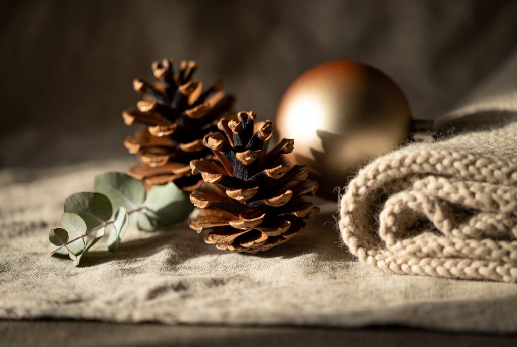 close de pinhas e tecido de linho com ornamento dourado